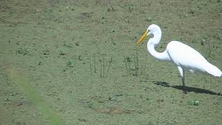 Lagunas de Santa Fe Laguna La Verde Laguna Los Molles Argentina 2020
