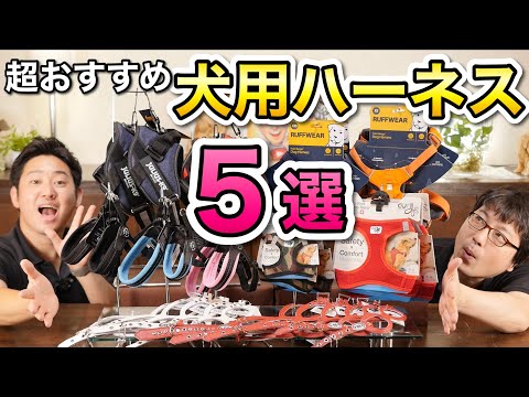 鼻ぺちゃ犬に最適なハーネス5選|呼吸トラブルを防ぐ選び方