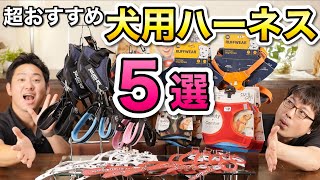 【超おすすめの犬用ハーネス５選！】機能性ドッグハーネスをペットショップ店長が解説します！