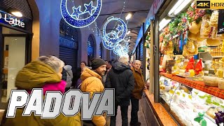 PADOVA City Center NIGHTLIGHT During CHRISTMAS 🇮🇹