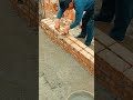 installing red brick walls #shorts