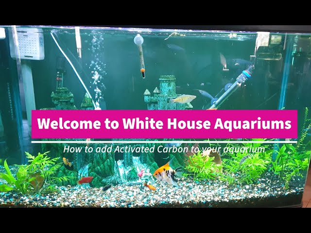 Image result for Activated Carbon Pellets Aquatic Experts Premium Activated Carbon ...