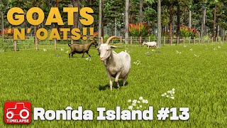 염소와 오츠!! 로니다 섬 FS25 타임랩스 농장 시뮬레이터 25화 13화 screenshot 5