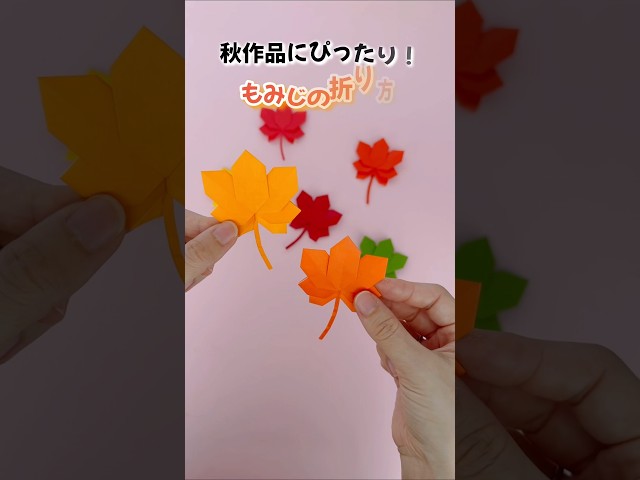 フォルムがかわいいもみじNEW!