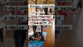 Benefits of Bhramari Pranayama by Veda5 Retreats in Rishikesh, Goa & Kerala