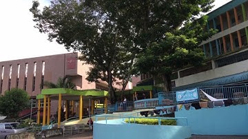 Zhiyun Z1 smooth C pair with iphone 6S plus