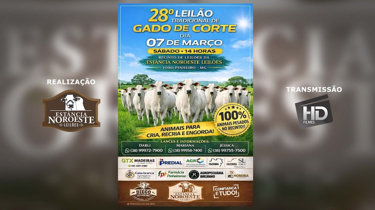 28º LEILÃO TRADICIONAL DE GADO DE CORTE - 07 DE MARÇO, 2026.