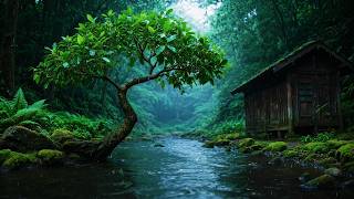 Deep Forest Green Stream, Nature Sounds, Birds Singing Calm River Vibes