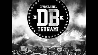 Video thumbnail of "DIVOKEJ BILL - Vojáci (Tsunami 2017)"