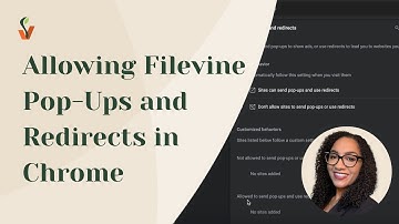 Allowing Filevine Pop-Ups and Redirects in Google Chrome