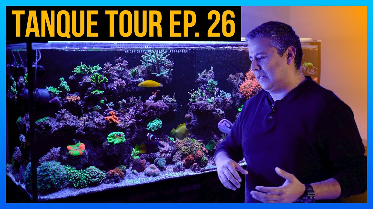 TANQUE TOUR Ep. 26 / Rafael Macías