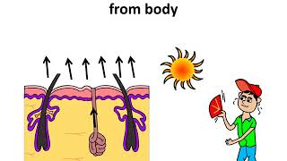 Science - Excretion in humans and animals - Hindi Science - Excretion in humans and animals - Hindi