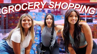 COME GROCERY SHOPPING WITH US! *ADULTING*
