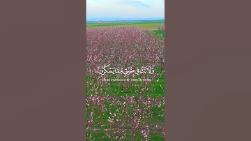 الآية 127و 128من سورة النحل بصوت الشيخ  فارس عباد