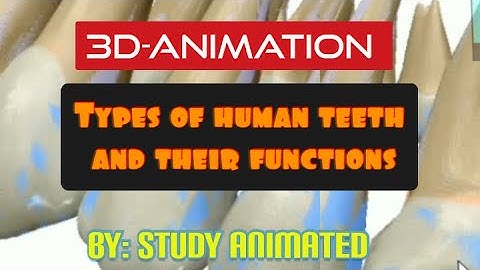 Class 11 neet |Digestion and absorption part 6 | 3D animation #science #3danimation #neet2023
