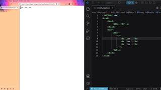 WASSCE ICT Elective (SC) 2026 | HTML [Solved]