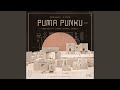 Puma punku feat mikongo