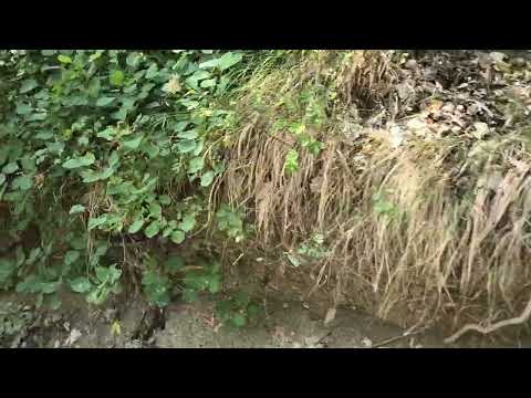 SI INCOMINCIA A CAMMINARE PER ANDARE ALLE CASCATE DI BUCAMANTE