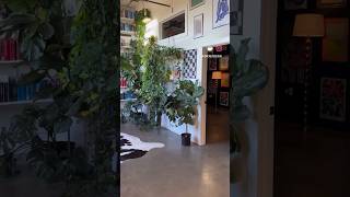 Our Funky Little Space