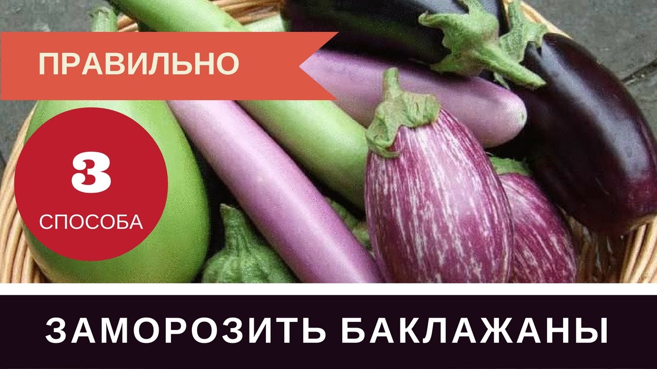 Как правильно заморозить кабачки на зиму свежими Как правильно заморозить кабачки на зиму свежими