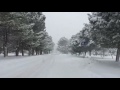 [10 Hours] Snow Falling on Tree Lane - Video &amp; Audio [1080HD] slowTV