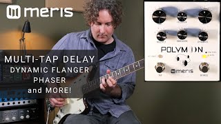 Meris Polymoon - Multi-Tap Modulated Delay (STEREO)