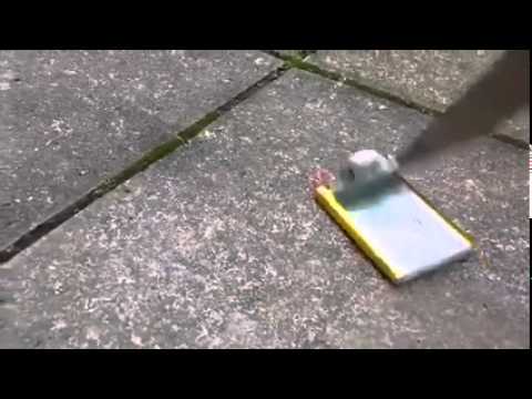 Poking a phone battery with a knife results in explosion