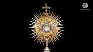 Download lagu Kocaknya para Romo Bermain tebak gambar Rm Hadi Wijoyo