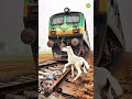 1 Hors Ne Bachayi Train Railway Phatne Se Or Kafi Sare Logo Ki Jaan Indiarailway 1 Hors Ne Bachayi Train Railway Phatne Se Or Kafi Sare Logo Ki Jaan Indiarailway