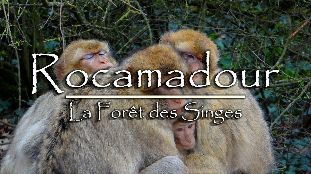 Rocamadour y La Forêt des Singes en HD