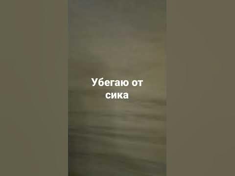 сик - YouTube