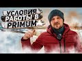 Дальнобой. Условия работы в PRIMUM. Зарплата в PRIMUM. Стоит ли идти новичку без опыта?