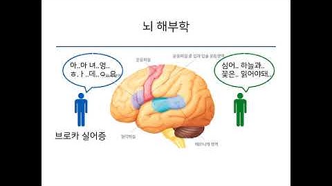 [Artificial Neural Network]인공신경망 이해하기 - 2강 (뇌와 그를 구성하는 뉴런에 대해 알아보기)