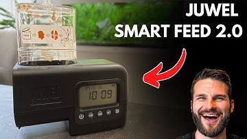 Juwel Smart Feed 2.0 automatic Fish Feeder How To Use & Set Up - Automatic Fish Feeder Review
