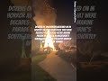 Iconic palm tree deliberately lit and erupted into flames