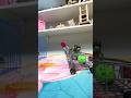 Bird Training:smart lovebird parrot l smart little cute parrot #training#smartparrot#cute
