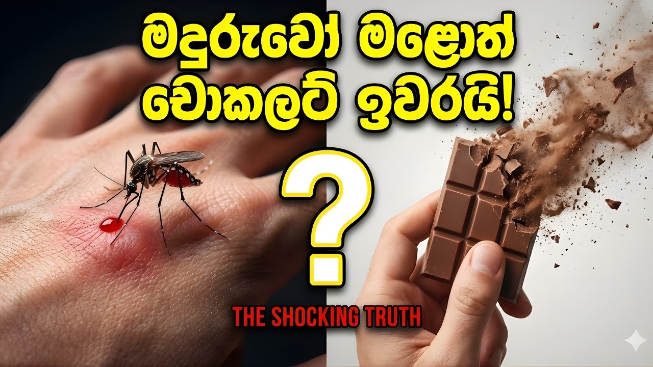 දුරුවෝ නැති වුනොත් අපි ඔක්කොම ඉවරද? - ලෝකෙටම වෙන විනාශය 💀 | The End of Humans?