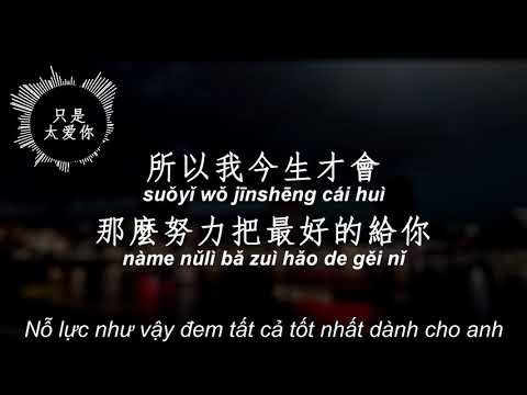 Lời Bài Hát Chỉ Vì Quá Yêu Anh - VIETSUB--CHỈ VÌ QUÁ YÊU ANH- ĐINH PHÙ NI