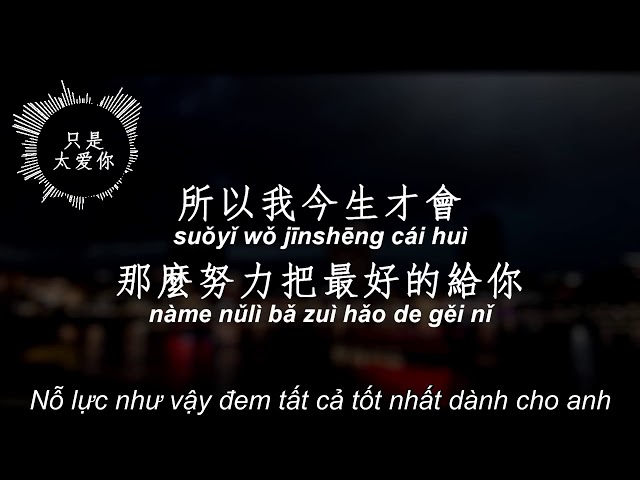 VIETSUB--CHỈ VÌ QUÁ YÊU ANH- ĐINH PHÙ NI class=