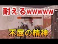 【PUBG MOBILE】神に守られし男　何故かやられないが続いてソロスクドン勝【Solo Squad】【せかめん】