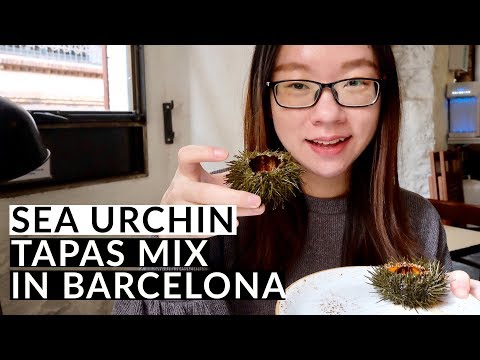 SEA URCHIN TAPAS TOUR IN BARCELONA: seafood tapas experience in Spain