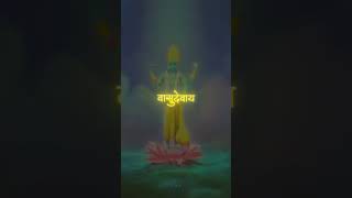 Krishna Vasudeva namah I Gaurav