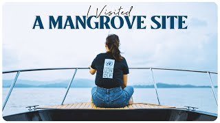 I Visited A Mangrove Site | #BioDiversityDay | RealTalkTuesday | MostlySane