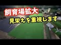 飼育場拡大は夜な夜な呑みながらじゃないと出来ません！【メダカ】