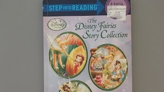 The Disney's Fairies Story 