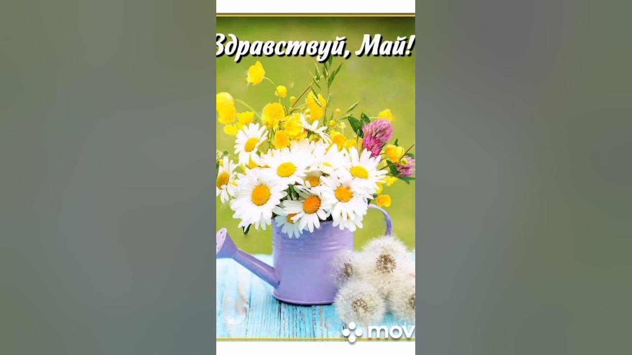 Здравствуй, май! - YouTube