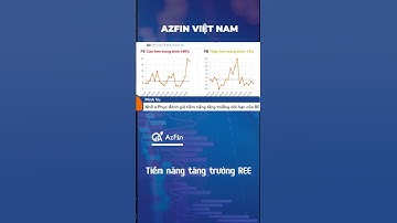 Tiềm năng tăng trưởng của REE