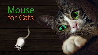 CAT GAMES - A Mouse - Videos for Cats to Watch on Screen - CAT ENTERTAINMENT TV - Mice | Rats Sounds by CAT & DOG CENTRAL 746 views 1 year ago 1 hour