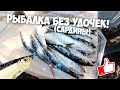 Рыбалка без удочек! Ловим сардину!