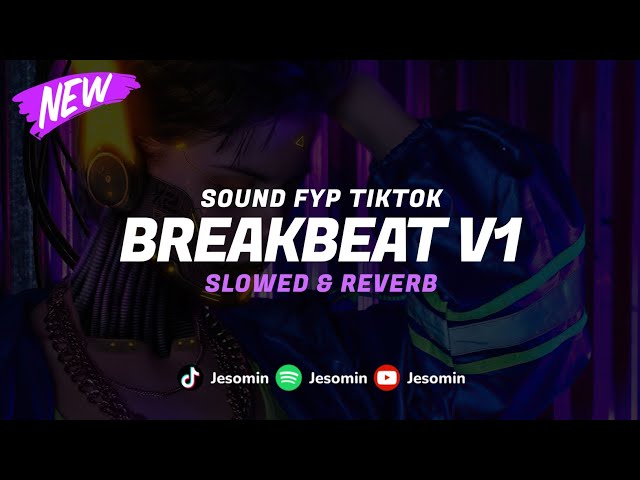 DJ Breakbeat V1 ( Slowed u0026 Reverb ) 🎧 class=
